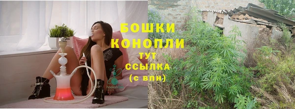 шишки Алзамай