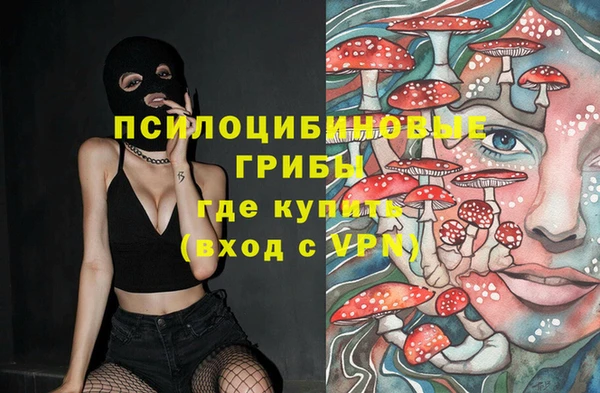 твердый Алексин